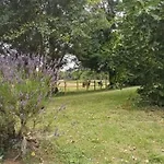 évasion Champêtre : Maison Avec Piscine, Tennis, Et étang Au Cœur De 50 Hectares De Forêt - Fr-1-410-307 * Le Lude