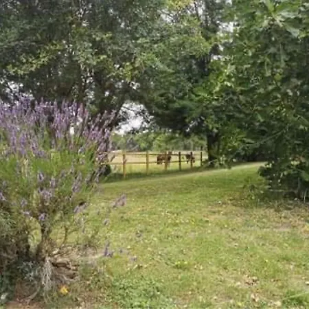 évasion Champêtre : Maison Avec Piscine, Tennis, Et étang Au Cœur De 50 Hectares De Forêt - Fr-1-410-307 * Le Lude