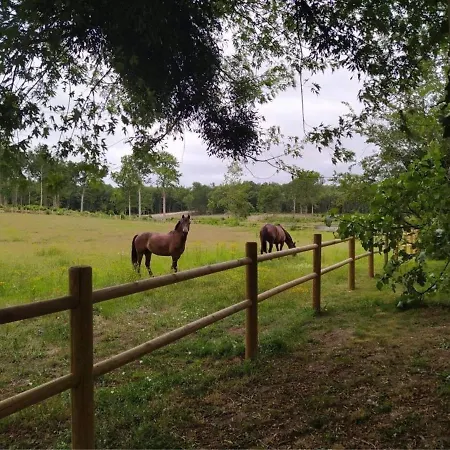 Evasion Champetre : Maison Avec Piscine, Tennis, Et Etang Au Coeur De 50 Hectares De Foret - Fr-1-410-307 Le Lude