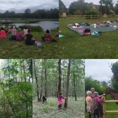 Evasion Champetre : Maison Avec Piscine, Tennis, Et Etang Au Coeur De 50 Hectares De Foret - Fr-1-410-307 펜션 르루드