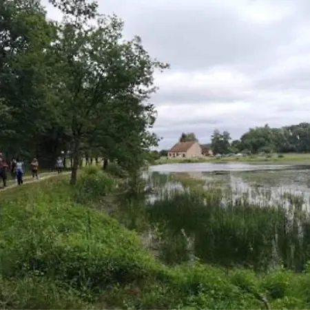 Nyaraló Evasion Champetre : Maison Avec Piscine, Tennis, Et Etang Au Coeur De 50 Hectares De Foret - Fr-1-410-307