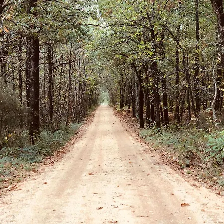 Evasion Champetre : Maison Avec Piscine, Tennis, Et Etang Au Coeur De 50 Hectares De Foret - Fr-1-410-307 펜션 르루드