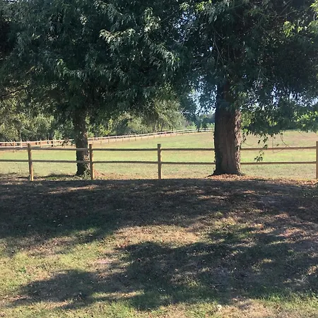 Evasion Champetre : Maison Avec Piscine, Tennis, Et Etang Au Coeur De 50 Hectares De Foret - Fr-1-410-307 * Le Lude