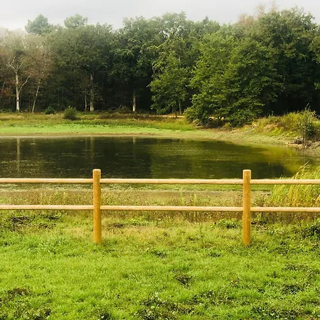 Evasion Champetre : Maison Avec Piscine, Tennis, Et Etang Au Coeur De 50 Hectares De Foret - Fr-1-410-307 Le Lude
