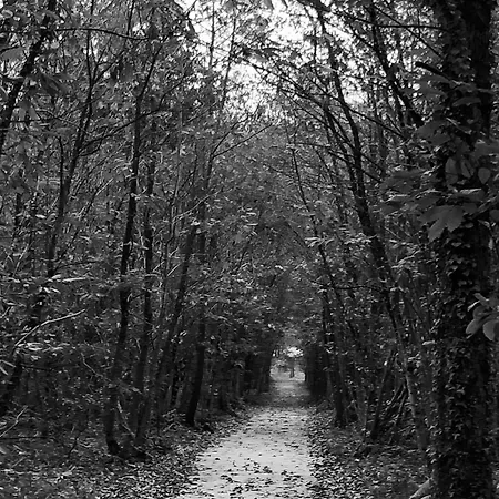 Evasion Champetre : Maison Avec Piscine, Tennis, Et Etang Au Coeur De 50 Hectares De Foret - Fr-1-410-307 Nyaraló *