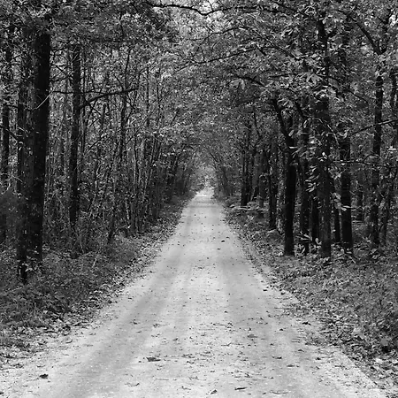 Nyaraló Evasion Champetre : Maison Avec Piscine, Tennis, Et Etang Au Coeur De 50 Hectares De Foret - Fr-1-410-307 *