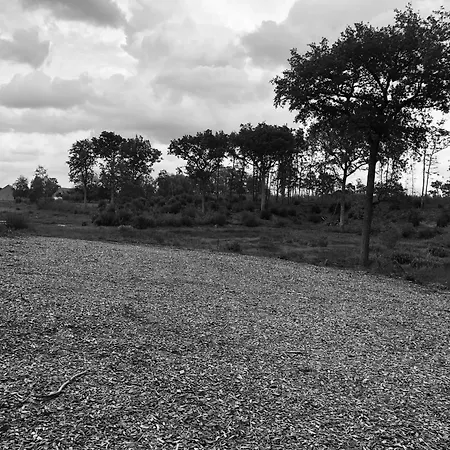 Evasion Champetre : Maison Avec Piscine, Tennis, Et Etang Au Coeur De 50 Hectares De Foret - Fr-1-410-307 펜션 *