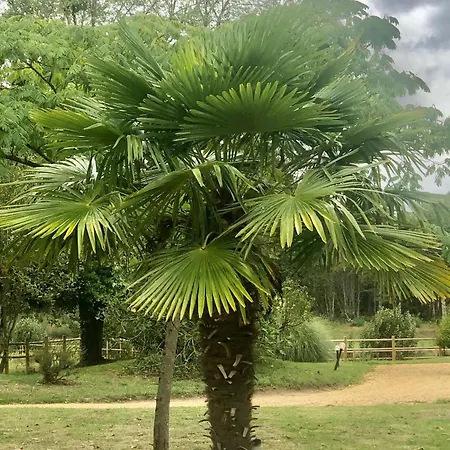 Evasion Champetre : Maison Avec Piscine, Tennis, Et Etang Au Coeur De 50 Hectares De Foret - Fr-1-410-307