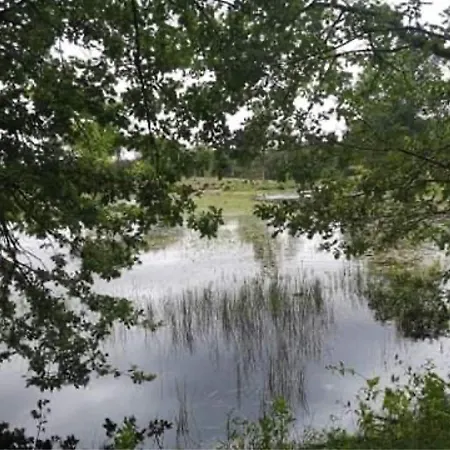 Evasion Champetre : Maison Avec Piscine, Tennis, Et Etang Au Coeur De 50 Hectares De Foret - Fr-1-410-307 Nyaraló *
