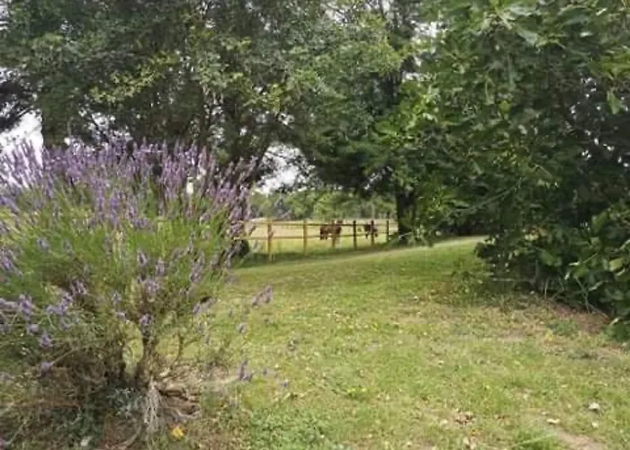 évasion Champêtre : Maison Avec Piscine, Tennis, Et étang Au Cœur De 50 Hectares De Forêt - Fr-1-410-307 * Le Lude