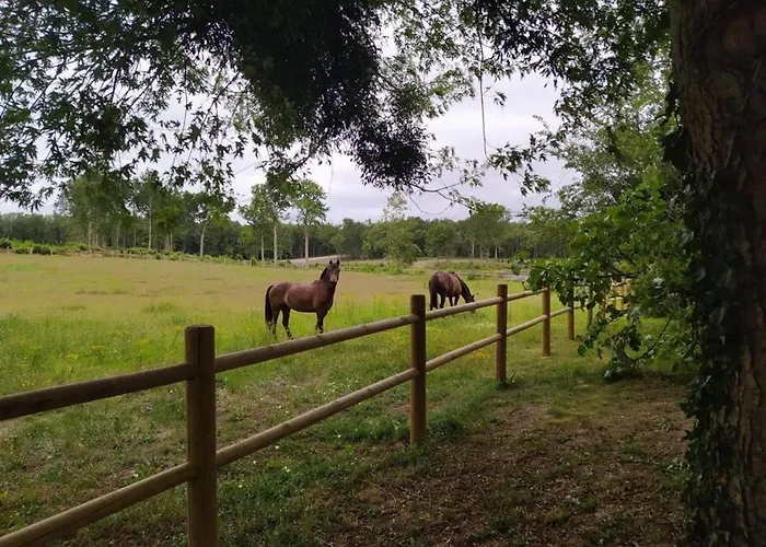 évasion Champêtre : Maison Avec Piscine, Tennis, Et étang Au Cœur De 50 Hectares De Forêt - Fr-1-410-307 Le Lude