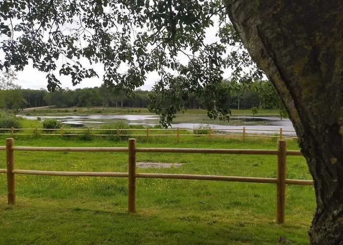 Casa de Férias évasion Champêtre : Maison Avec Piscine, Tennis, Et étang Au Cœur De 50 Hectares De Forêt - Fr-1-410-307