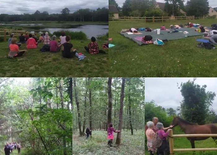 évasion Champêtre : Maison Avec Piscine, Tennis, Et étang Au Cœur De 50 Hectares De Forêt - Fr-1-410-307 Сasa de vacaciones Le Lude