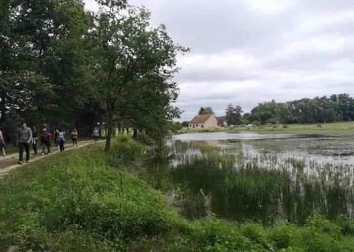 Сasa de vacaciones évasion Champêtre : Maison Avec Piscine, Tennis, Et étang Au Cœur De 50 Hectares De Forêt - Fr-1-410-307