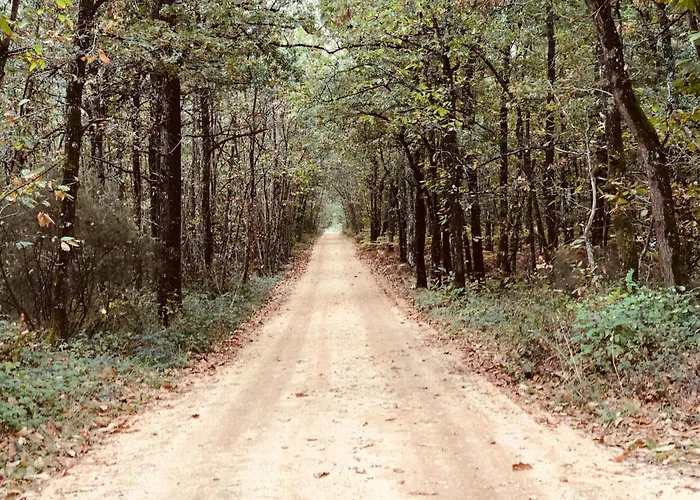 évasion Champêtre : Maison Avec Piscine, Tennis, Et étang Au Cœur De 50 Hectares De Forêt - Fr-1-410-307 Casa de Férias Le Lude