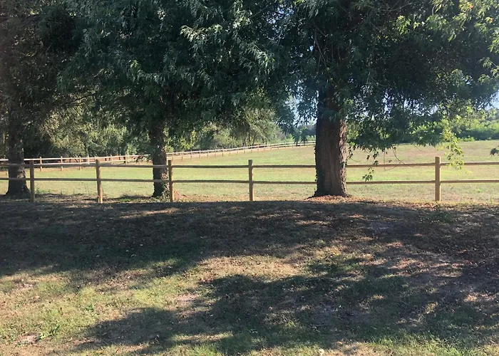 évasion Champêtre : Maison Avec Piscine, Tennis, Et étang Au Cœur De 50 Hectares De Forêt - Fr-1-410-307 * Le Lude