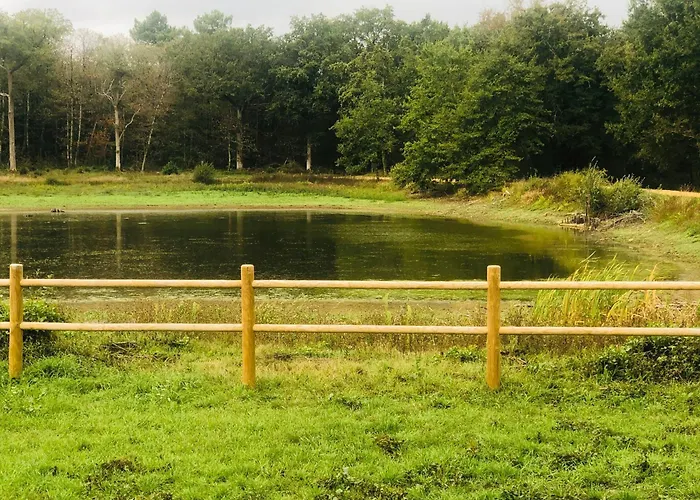 évasion Champêtre : Maison Avec Piscine, Tennis, Et étang Au Cœur De 50 Hectares De Forêt - Fr-1-410-307 Le Lude