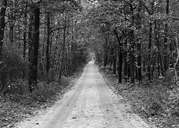 Сasa de vacaciones évasion Champêtre : Maison Avec Piscine, Tennis, Et étang Au Cœur De 50 Hectares De Forêt - Fr-1-410-307 *