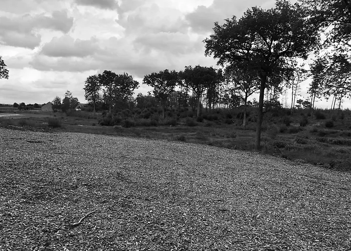 évasion Champêtre : Maison Avec Piscine, Tennis, Et étang Au Cœur De 50 Hectares De Forêt - Fr-1-410-307 Casa de Férias *