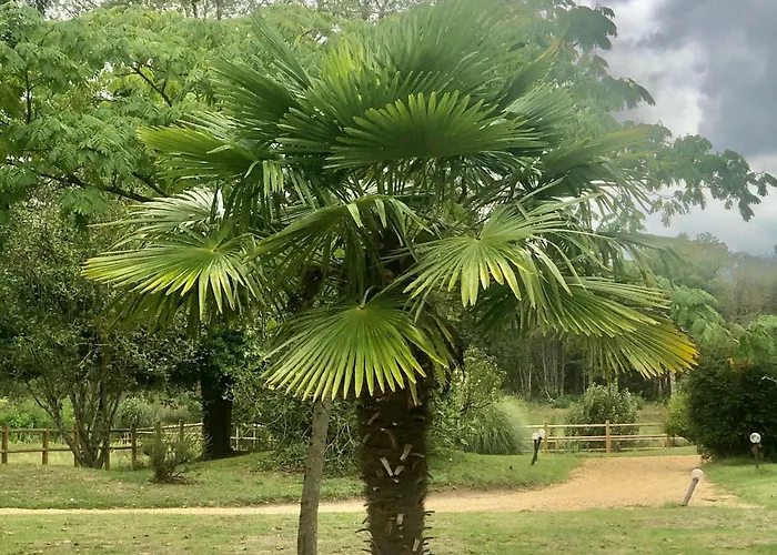 évasion Champêtre : Maison Avec Piscine, Tennis, Et étang Au Cœur De 50 Hectares De Forêt - Fr-1-410-307