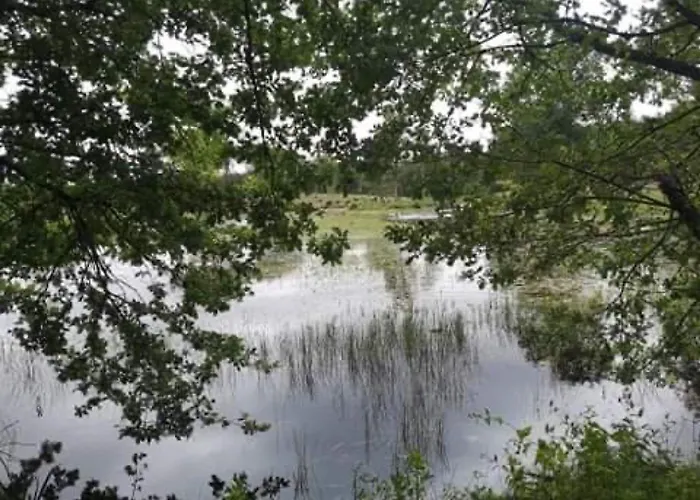 évasion Champêtre : Maison Avec Piscine, Tennis, Et étang Au Cœur De 50 Hectares De Forêt - Fr-1-410-307 Сasa de vacaciones *